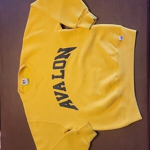 Vtg Avalon crewneck